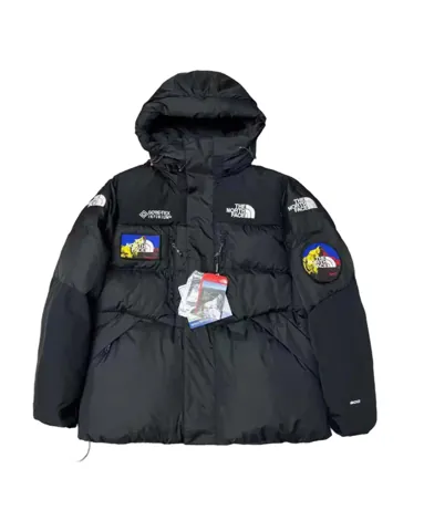 The North Face Down Jacket