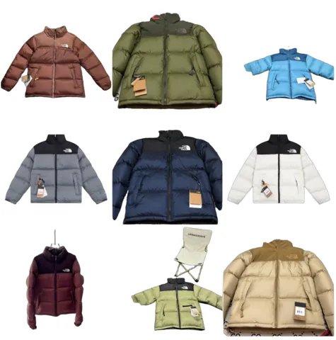 The North Face Down Jacket
