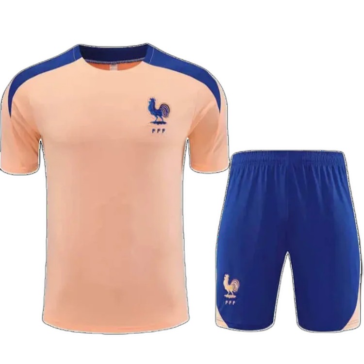 2526 season France Training clothes suit Short sleeve Fan version
