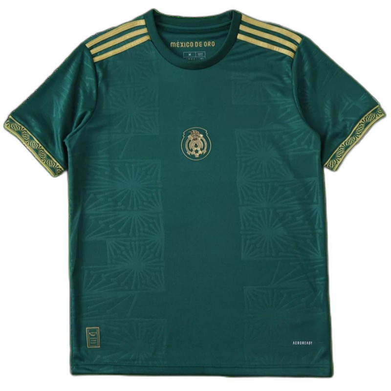 2526 season Mexico Concept version Fan version