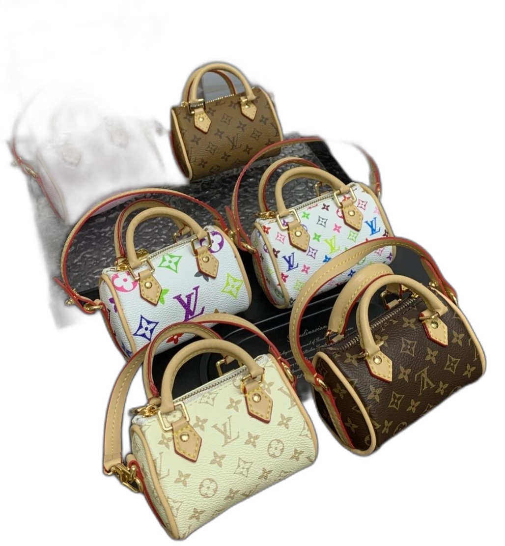 LV Bag
