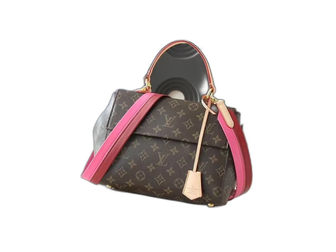 LV Bag