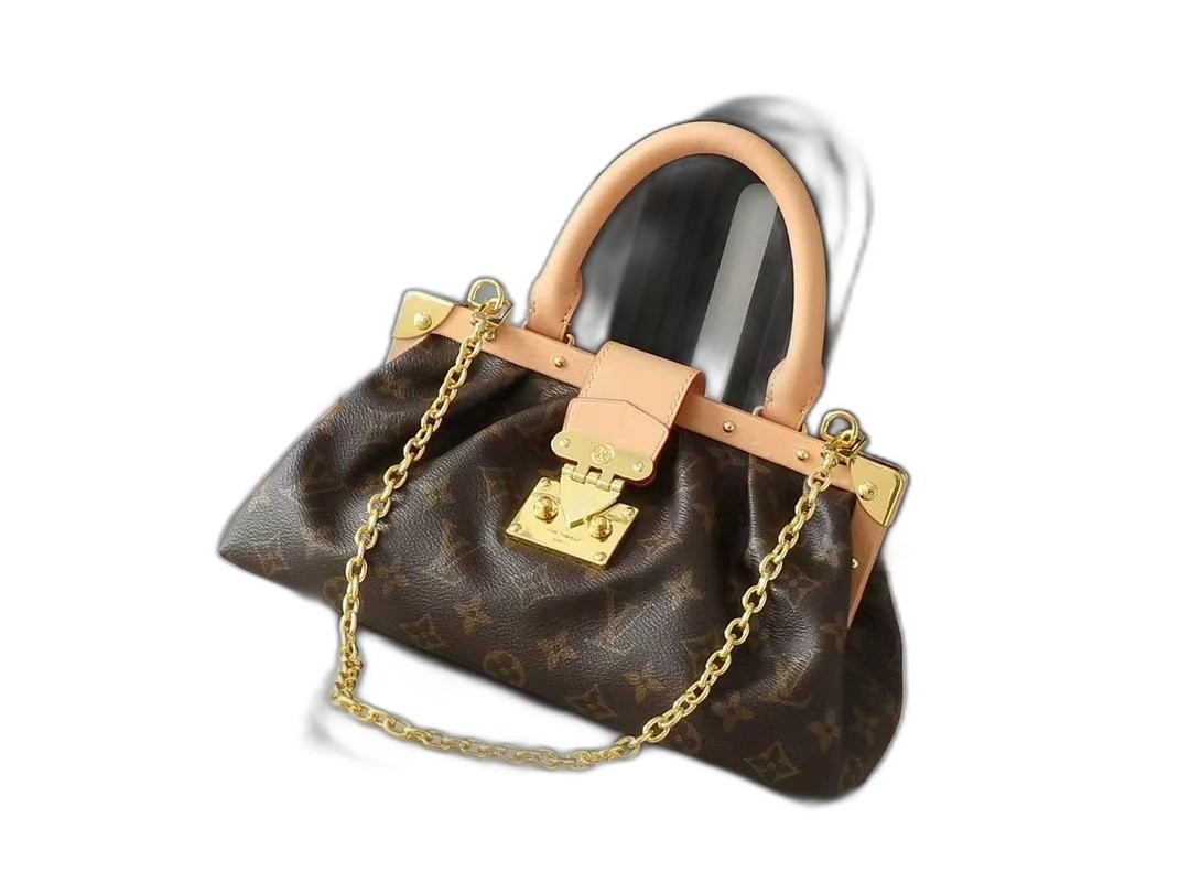 LV Bag