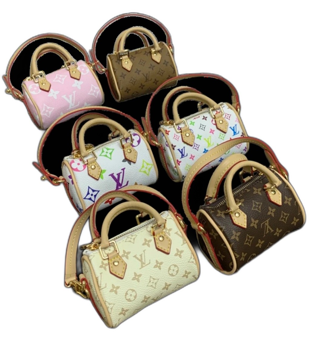 Louis Vuitton Bag