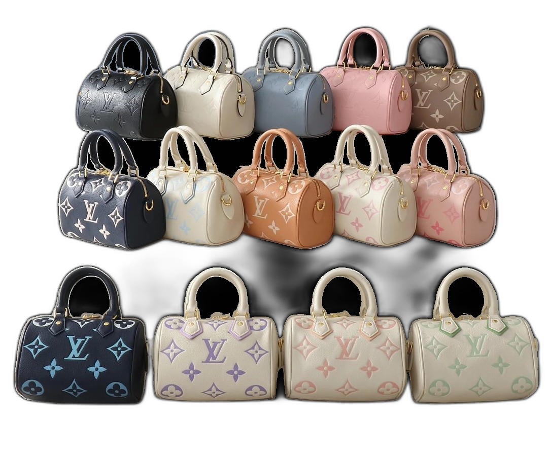 Louis Vuitton Bag