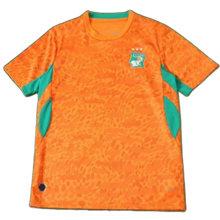 2627 Ivory Coast home Fan version