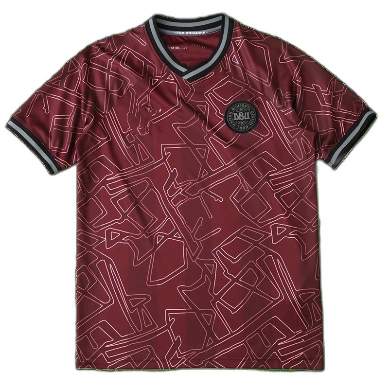 2425 season Denmark home Fan version