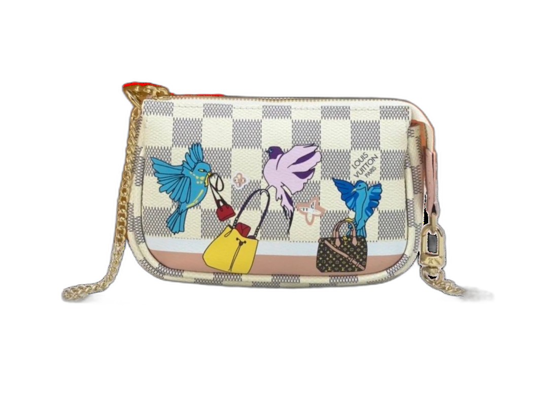 Louis Vuitton Bag