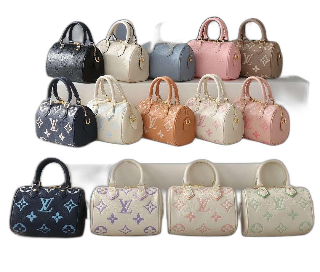LV Bag