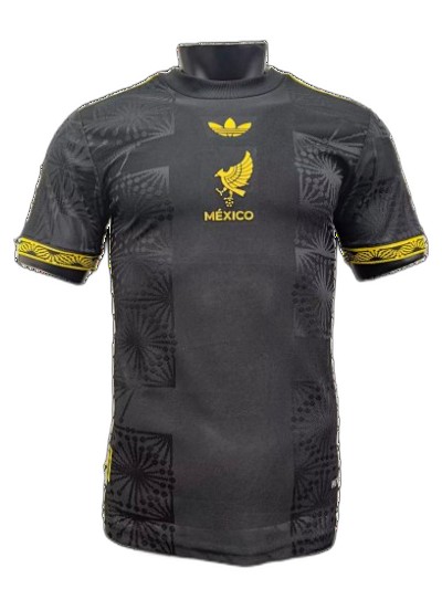 2526 Season Mexico Gold Cup Special Edition Jersey Player Version