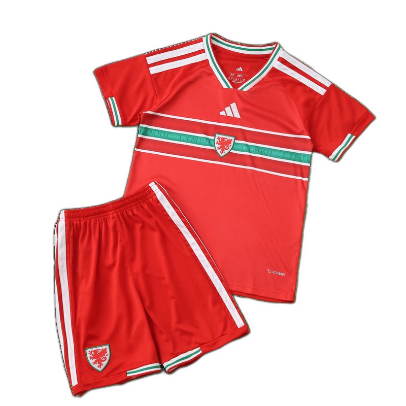 2026 FIFA World Cup Wales home Kids kit