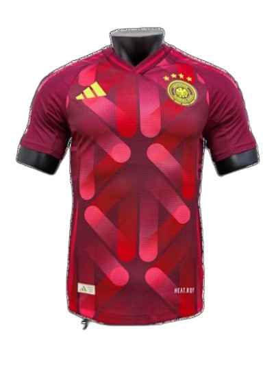 2526 Season Germany Away Jersey Player Version